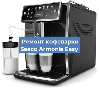Чистка кофемашины Saeco Armonia Easy от кофейных масел в Нижнем Новгороде